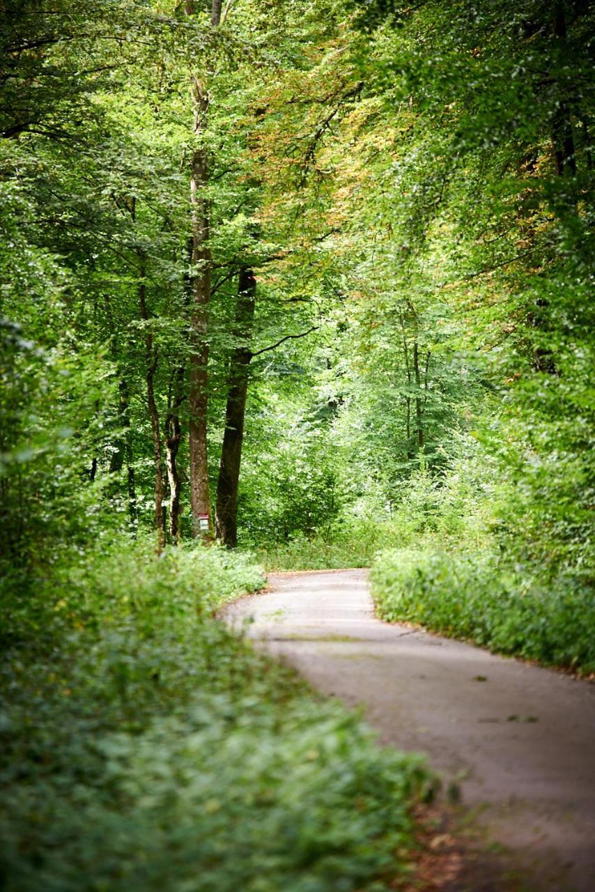 Christepaul Ferienwohnungen Bengel Exterior foto